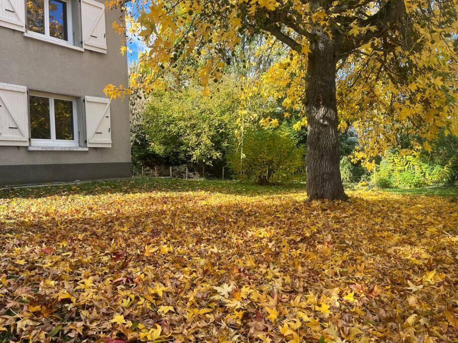 La Familiale Villa Saint Gaudens Dış mekan fotoğraf